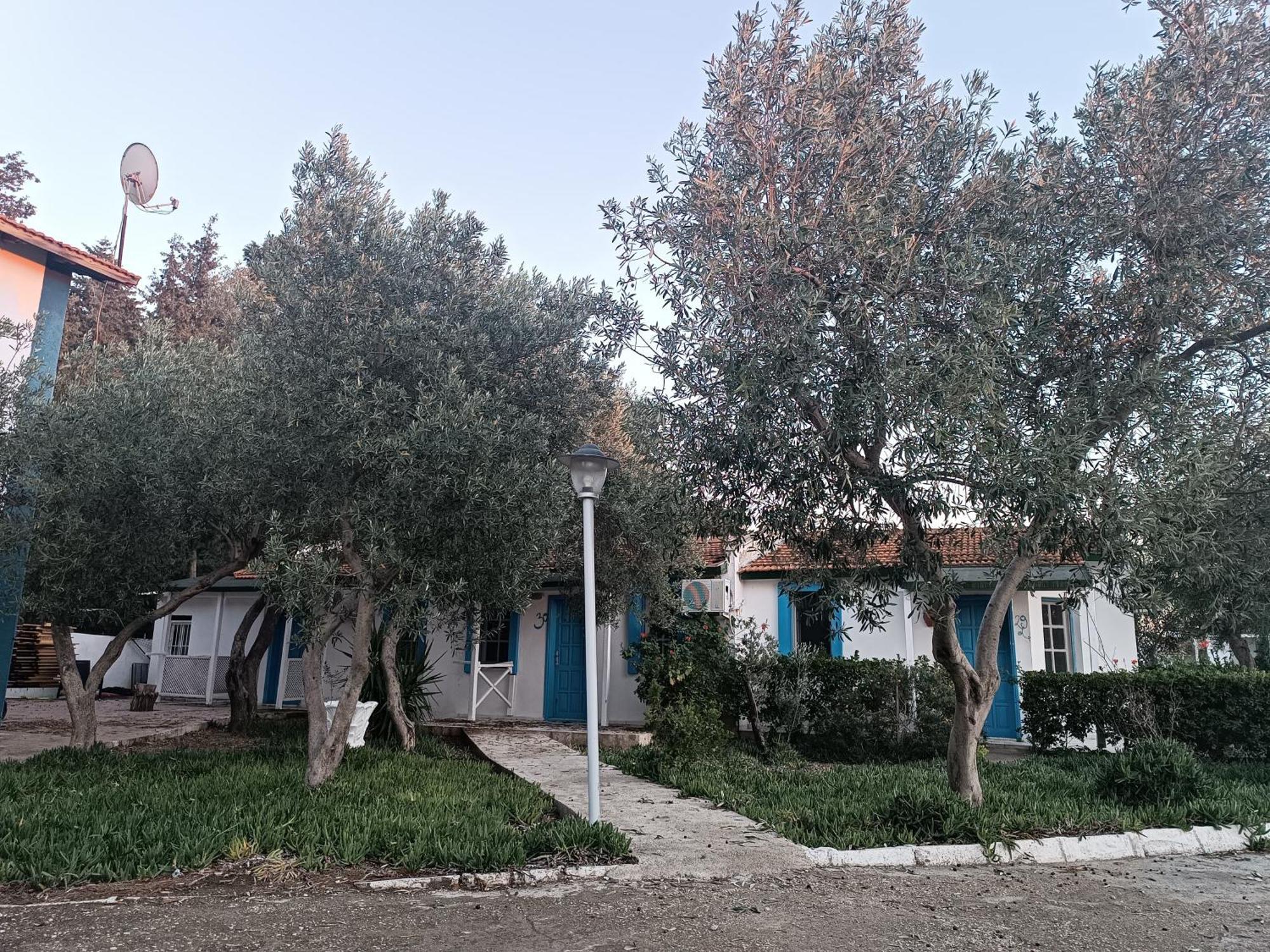 Teos Ormanci Tatil Koyu Hotel Seferihisar Exterior foto