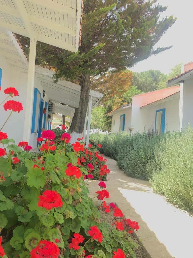 Teos Ormanci Tatil Koyu Hotel Seferihisar Exterior foto